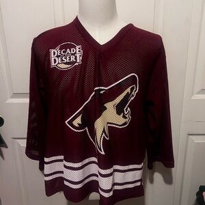 Park Antony Maroon Mesh Jersey